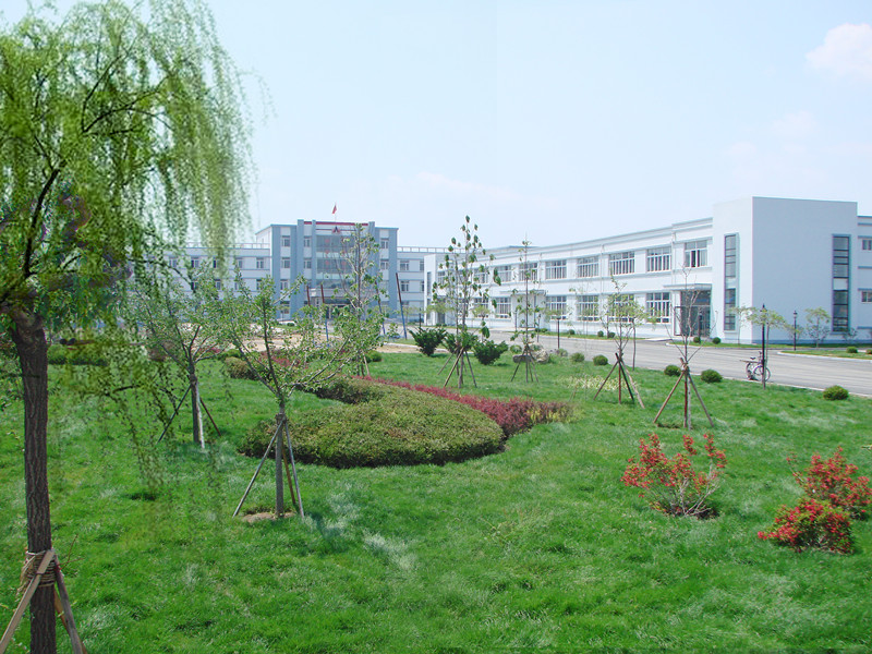 歡樂奧龍人，激昂青春夢(mèng)